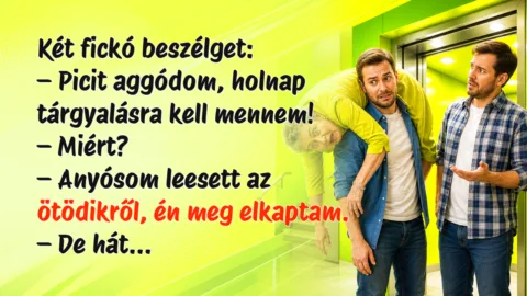 Két fickó beszélget: – Picit aggódom, holnap tárgyalásra kell mennem! – Miért? – Anyósom leesett az ötödikről, én meg elkaptam. – De hát...