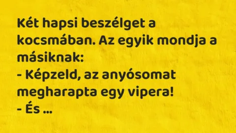 Vicc: Két hapsi beszélget a kocsmában. Az egyik mondja a másiknak…