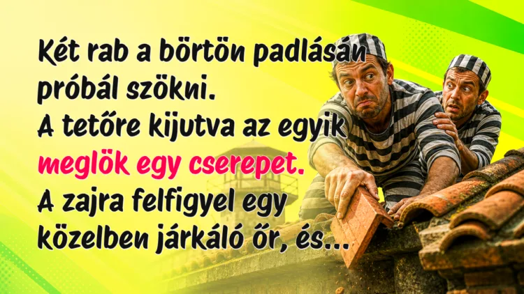 Vicc: Két rab a börtön padlásán próbál szökni... Két rab a börtön padlásán próbál szökni. A tetőre kijutva az egyik meglök egy cserepet. A zajra felfigyel egy közelben járkáló őr, és...