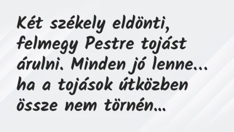 Vicc: Két székely eldönti, felmegy Pestre tojást árulni. Minden jó lenne…