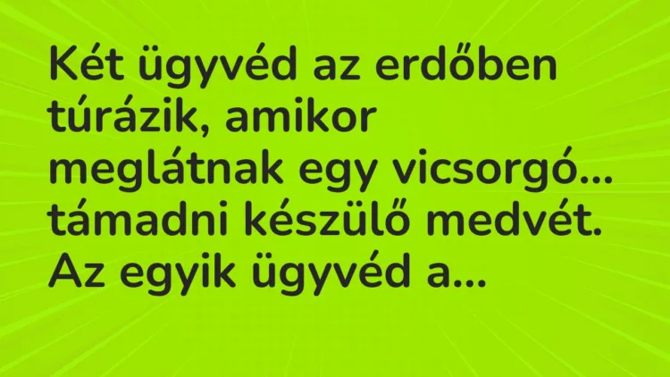 Vicc: Két ügyvéd az erdőben túrázik, amikor meglátnak egy vicsorgó… Vicc: Két ügyvéd az erdőben túrázik, amikor meglátnak egy vicsorgó…
