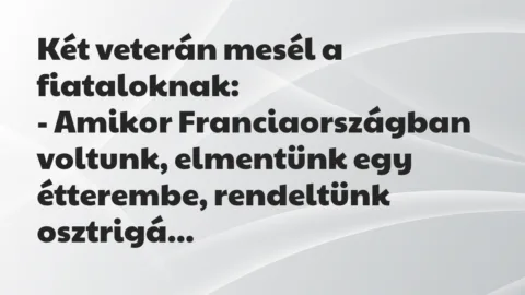 Vicc: Két veterán mesél a fiataloknak…