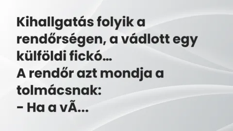 Vicc: Kihallgatás folyik a rendőrségen, a vádlott egy külföldi fickó…