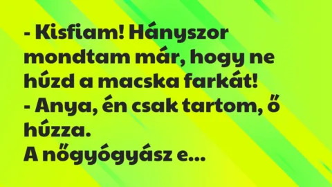 Vicc: Kisfiam! Hányszor mondtam már, hogy ne húzd a macska farkát…