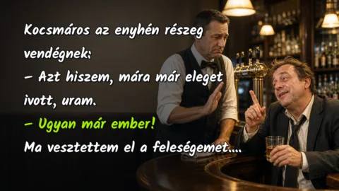 Vicc: Kocsmáros az enyhén részeg vendégnek... Kocsmáros az enyhén részeg vendégnek: – Azt hiszem, mára már eleget ivott, uram. – Ugyan már ember! Ma vesztettem el a feleségemet....