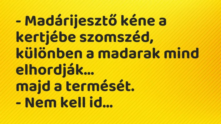 Vicc: Madárijesztő kéne a kertjébe szomszéd, különben a madarak mind… Vicc: Madárijesztő kéne a kertjébe szomszéd, különben a madarak mind…