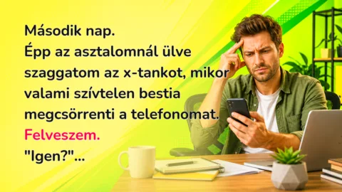 Második nap. Épp az asztalomnál ülve szaggatom az x-tankot, mikor valami szívtelen bestia megcsörrenti a telefonomat. Felveszem. "Igen?"...