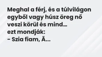 Vicc: Meghal a férj, és a túlvilágon egyből vagy húsz öreg nő veszi körül… Vicc: Meghal a férj, és a túlvilágon egyből vagy húsz öreg nő veszi körül…