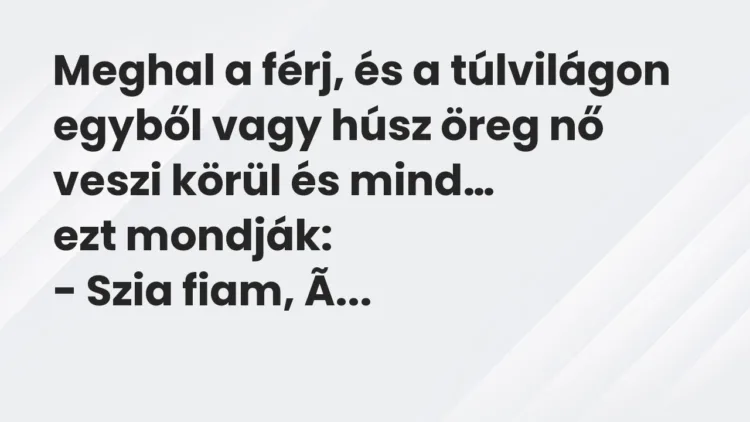 Vicc: Meghal a férj, és a túlvilágon egyből vagy húsz öreg nő veszi körül… Vicc: Meghal a férj, és a túlvilágon egyből vagy húsz öreg nő veszi körül…