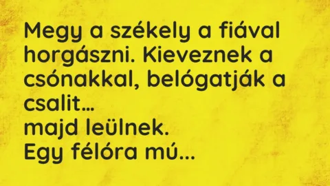 Vicc: Megy a székely a fiával horgászni. Kieveznek a csónakkal…
