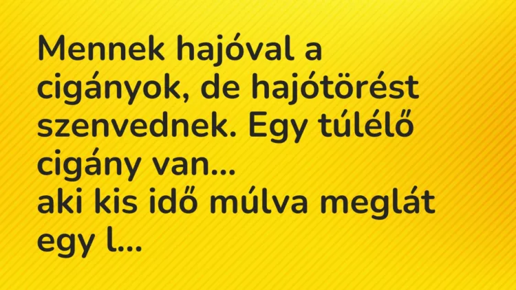 Vicc: Mennek hajóval a cigányok, de hajótörést szenvednek. Egy túlélő cigány… Vicc: Mennek hajóval a cigányok, de hajótörést szenvednek. Egy túlélő cigány…