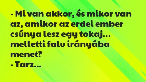 Vicc: Mi van akkor, és mikor van az, amikor az erdei ember csúnya lesz…