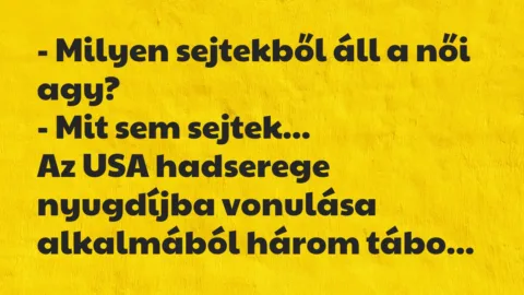 Vicc: Milyen sejtekből áll a női agy?