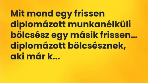 Vicc: Mit mond egy frissen diplomázott munkanélküli bölcsész egy másik…