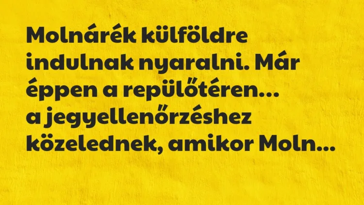 Vicc: Molnárék külföldre indulnak nyaralni. Már éppen a repülőtéren… Vicc: Molnárék külföldre indulnak nyaralni. Már éppen a repülőtéren…