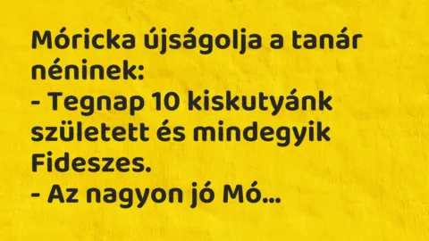 Vicc: Móricka újságolja a tanár néninek…