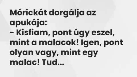 Vicc: Mórickát dorgálja az apukája…