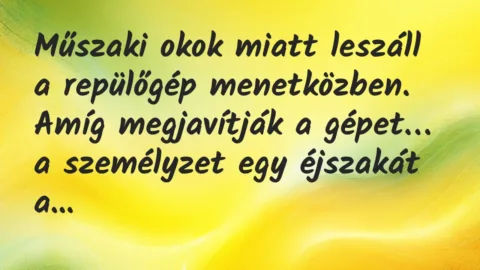 Vicc: Műszaki okok miatt leszáll a repülőgép menetközben. Amíg megjavítják…