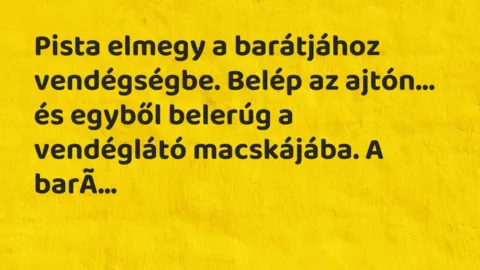 Pista elmegy a barátjához vendégségbe. Belép az ajtón, és egyből belerúg a vendéglátó macskájába. A barát elámul...