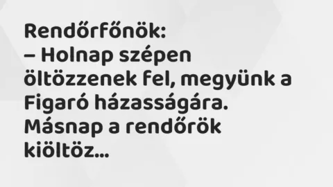 Vicc: Rendőrfőnök…
