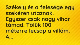 Vicc: Székely és a felesége egy szekéren utaznak…