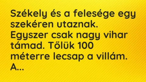 Vicc: Székely és a felesége egy szekéren utaznak…