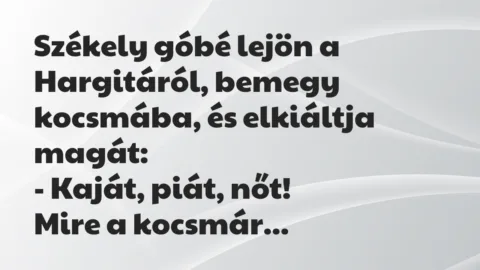 Vicc: Székely góbé lejön a Hargitáról, bemegy kocsmába, és elkiáltja magát…