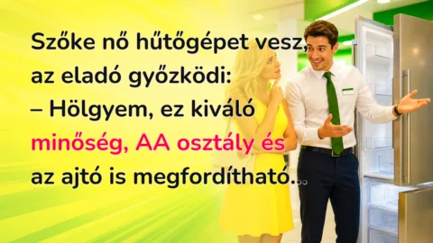 Szőke nő hűtőgépet vesz, az eladó győzködi: – Hölgyem, ez kiváló minőség, AA osztály és az ajtó is megfordítható...