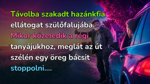 Távolba szakadt hazánkfia ellátogat szülőfalujába. Mikor közeledik a régi tanyájukhoz, meglát az út szélén egy öreg bácsit stoppolni....