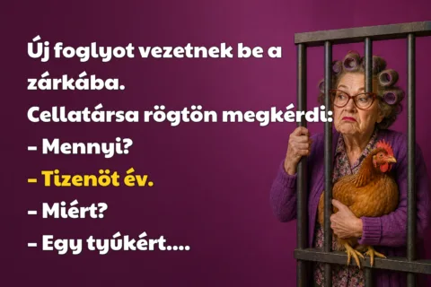 Új foglyot vezetnek be a zárkába. Cellatársa rögtön megkérdi: – Mennyi? – Tizenöt év. – Miért? – Egy tyúkért....