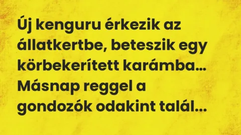Vicc: Új kenguru érkezik az állatkertbe, beteszik egy körbekerített karámba… Vicc: Új kenguru érkezik az állatkertbe, beteszik egy körbekerített karámba…