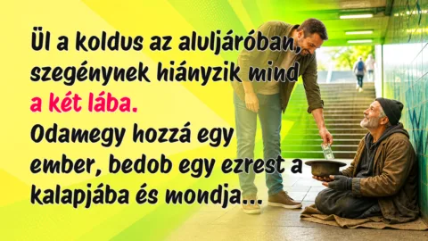 Vicc: Ül a koldus az aluljáróban, szegénynek hiányzik mind a két lába... Ül a koldus az aluljáróban, szegénynek hiányzik mind a két lába. Odamegy hozzá egy ember, bedob egy ezrest a kalapjába és mondja...
