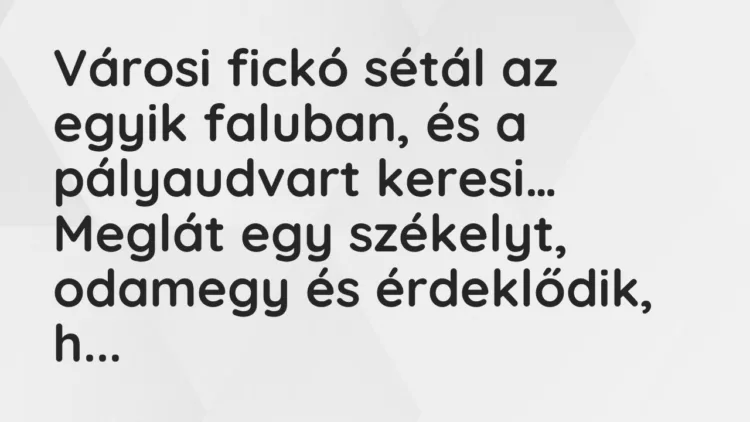 Vicc: Városi fickó sétál az egyik faluban, és a pályaudvart keresi… Vicc: Városi fickó sétál az egyik faluban, és a pályaudvart keresi…