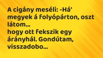 Viccek: A cigány meséli: -Há’ megyek á folyópárton, oszt látom… Viccek: A cigány meséli: -Há’ megyek á folyópárton, oszt látom…