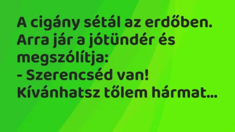 Viccek: A cigány sétál az erdőben. Arra jár a jótündér és megszólítja…