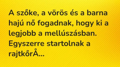 Viccek: A szőke, a vörös és a barna hajú nő fogadnak, hogy ki a legjobb… Viccek: A szőke, a vörös és a barna hajú nő fogadnak, hogy ki a legjobb…