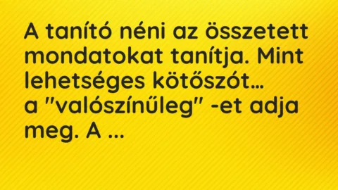 Viccek: A tanító néni az összetett mondatokat tanítja. Mint lehetséges… Viccek: A tanító néni az összetett mondatokat tanítja. Mint lehetséges…