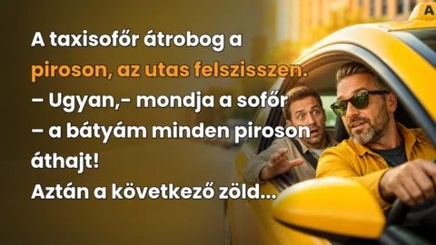 A taxisofőr átrobog a piroson, az utas felszisszen. – Ugyan,- mondja a sofőr – a bátyám minden piroson áthajt! Aztán a következő zöld...