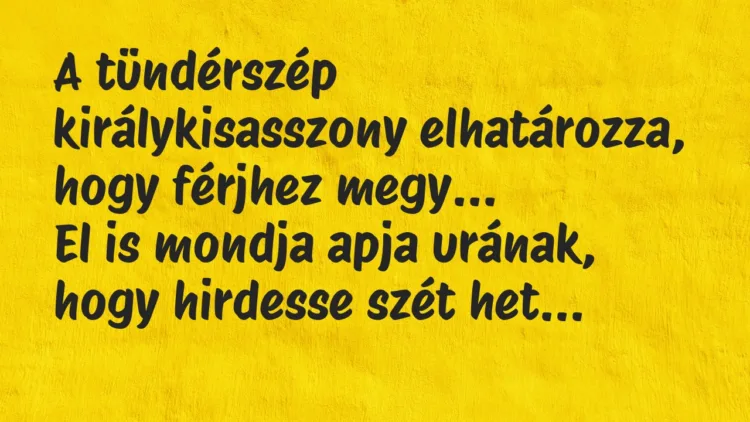 Viccek: A tündérszép királykisasszony elhatározza, hogy férjhez megy… Viccek: A tündérszép királykisasszony elhatározza, hogy férjhez megy…