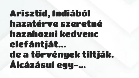 Viccek: Arisztid, Indiából hazatérve szeretné hazahozni kedvenc elefántját…