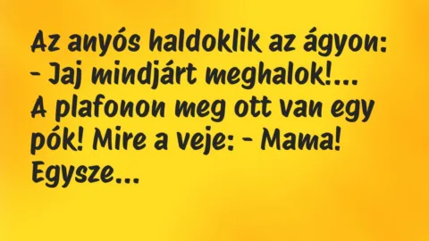 Viccek: Az anyós haldoklik az ágyon: – Jaj mindjárt meghalok…