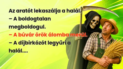 Az aratót lekaszálja a halál. – A boldogtalan megboldogul. – A búvár örök álomba merül. – A díjbirkózót legyűri a halál....