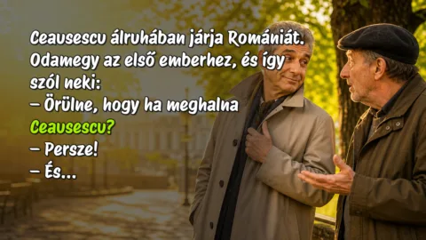 Ceausescu álruhában járja Romániát. Odamegy az első emberhez, és így szól neki: – Örülne, hogy ha meghalna Ceausescu? – Persze! – És...