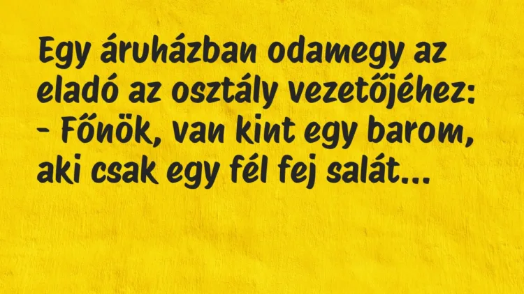 Viccek: Egy áruházban odamegy az eladó az osztály vezetőjéhez… Viccek: Egy áruházban odamegy az eladó az osztály vezetőjéhez…