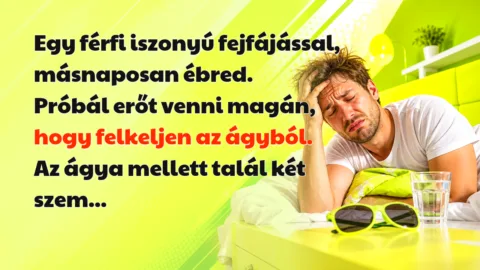 Egy férfi iszonyú fejfájással, másnaposan ébred. Próbál erőt venni magán, hogy felkeljen az ágyból. Az ágya mellett talál két szem...