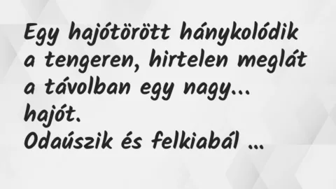 Viccek: Egy hajótörött hánykolódik a tengeren, hirtelen meglát a távolban…