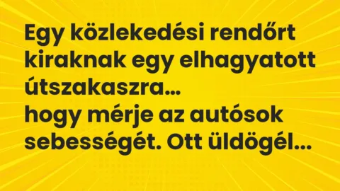 Viccek: Egy közlekedési rendőrt kiraknak egy elhagyatott útszakaszra…