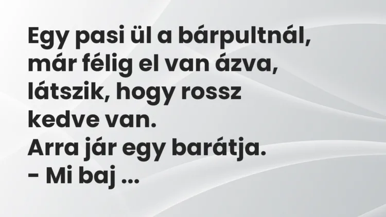Viccek: Egy pasi ül a bárpultnál, már félig el van ázva, látszik, hogy rossz… Viccek: Egy pasi ül a bárpultnál, már félig el van ázva, látszik, hogy rossz…