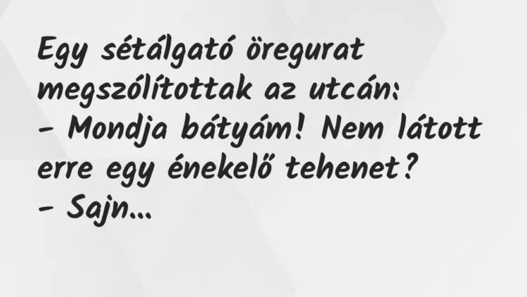 Viccek: Egy sétálgató öregurat megszólítottak az utcán… Viccek: Egy sétálgató öregurat megszólítottak az utcán…