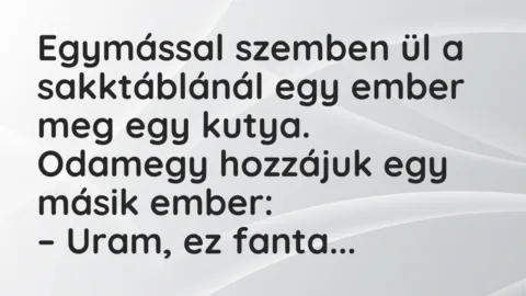 Viccek: Egymással szemben ül a sakktáblánál egy ember meg egy kutya…